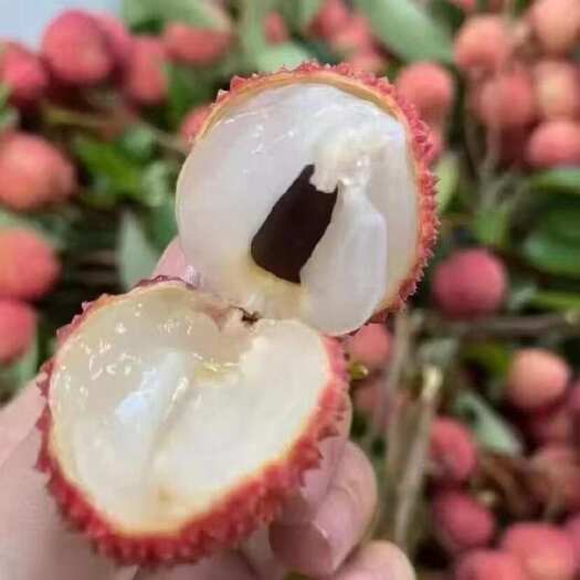北流市广西北流桂味荔枝新鲜水果热带甜品优选