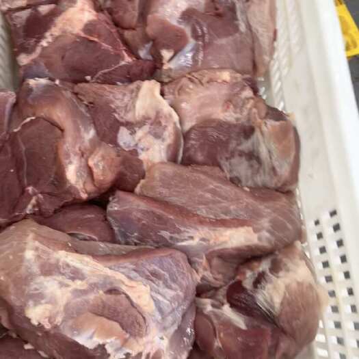 海口海南鲜猪4号精瘦肉，去油精修里脊肉，带皮前上肉屠宰场现宰现发
