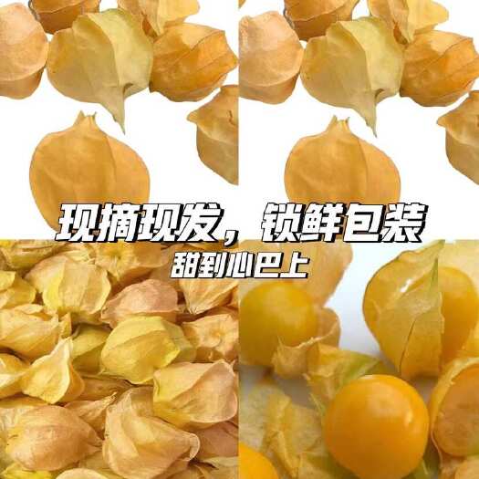 姑娘果电商一件代发。全国包邮。