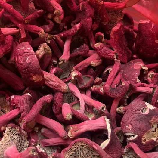 容县广西玉林容县红菇干货优质蔬菜食用菌批发