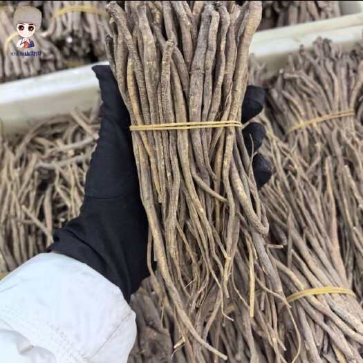小金县四川省阿坝州小金县甜当归！可以煲汤！￼可以直接吃！￼