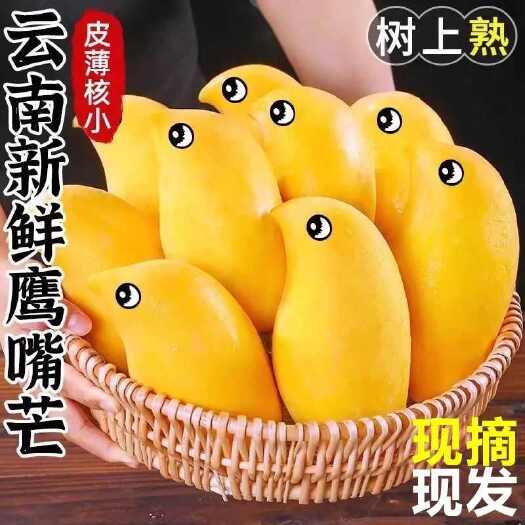 昆明芒果云南鹰嘴芒苹果芒苔农一件代发一件代发