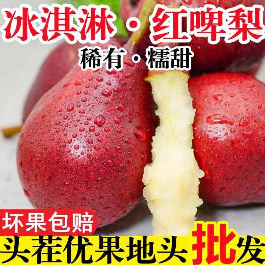 渭南红啤梨[头茬直发]  软糯香甜太婆梨产地当季孕妇水果红皮梨子