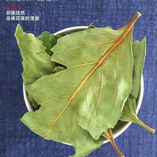 绿，干无杂质，和双后柿叶