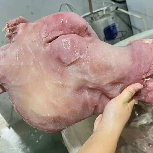 阳信县牛头肉 熟牛头肉去骨纯水煮天然加工质量稳定 长期有货！