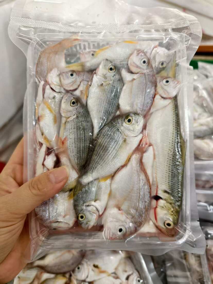 代杀好大杂鱼海钓小杂鱼煲自助餐厅酒店社区团购供应8两/盒
