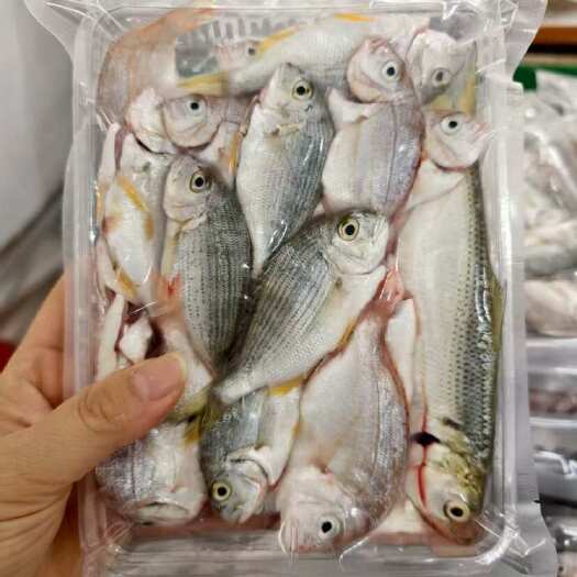 代杀好大杂鱼海钓小杂鱼煲自助餐厅酒店社区团购供应8两/盒