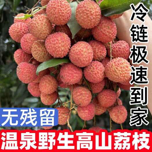 广州【大减价】爽甜多汁桂花香味广东从化桂味荔枝新鲜水果现摘现发