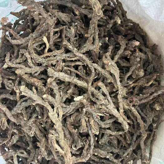 通道县香菖蒲出售有意者联系