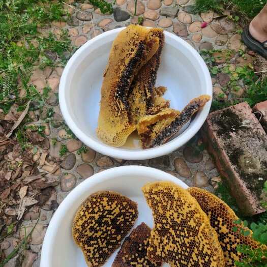 海口海南土蜂蜜天然成熟蜜24个月保质期营养滋补品非药品