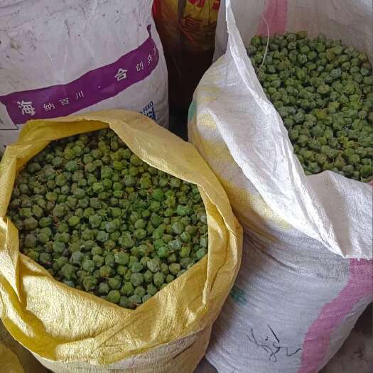 蒙阴县柏树果