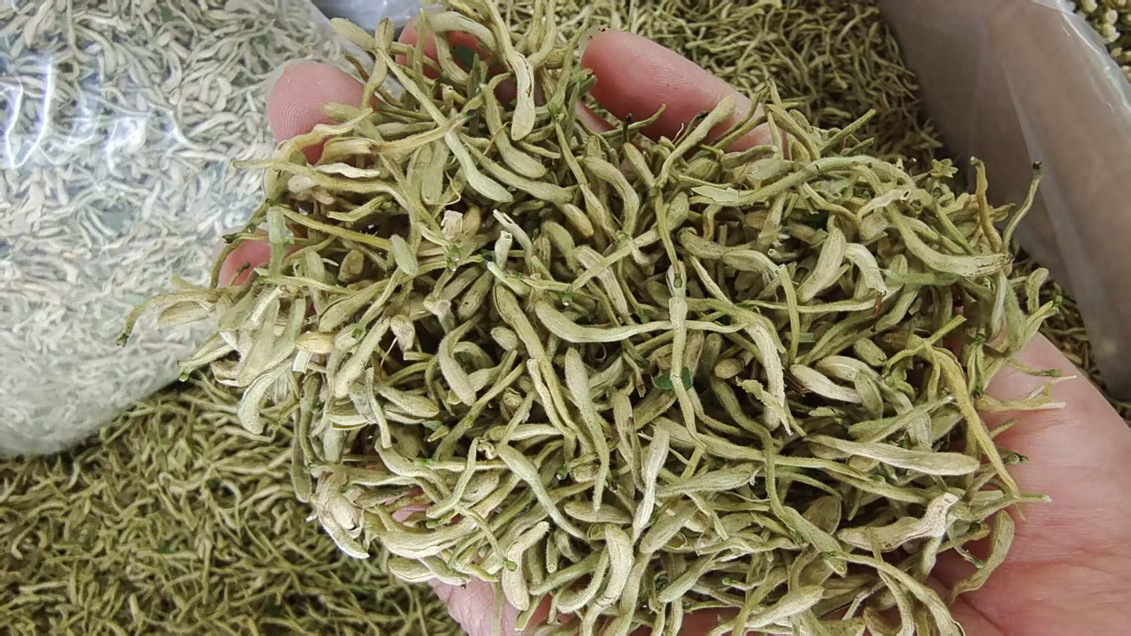 金银花 头茬选货 泡茶级别 1斤包邮