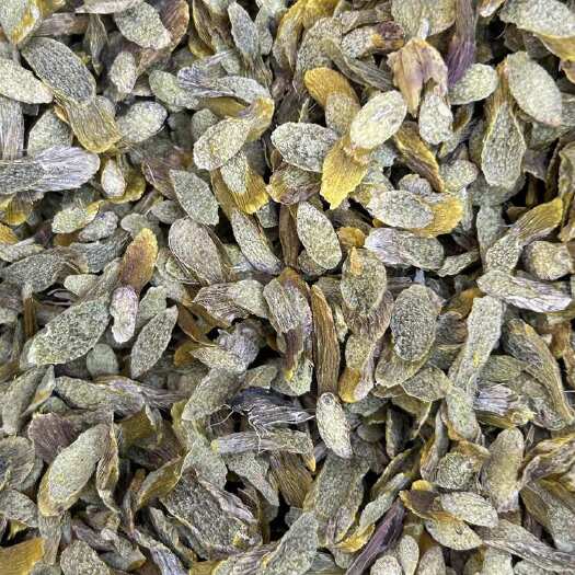 昆明石斛切片。经过人工机器筛选。