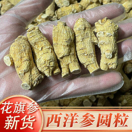 【加拿大花旗参】精选花旗参圆粒头西洋参参味浓郁高年份粒头包邮