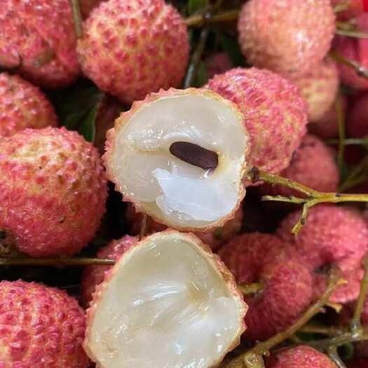钦州桂味荔枝荔枝广西钦州特产新鲜现摘新鲜10斤净果