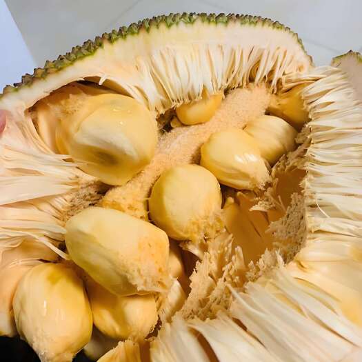 白沙县海南珍珠榴莲蜜
