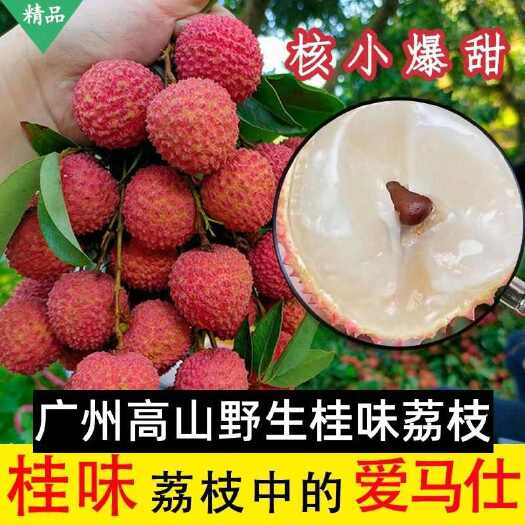【大减价】自家果园核小肉厚广东从化桂味荔枝应季水果现摘现发