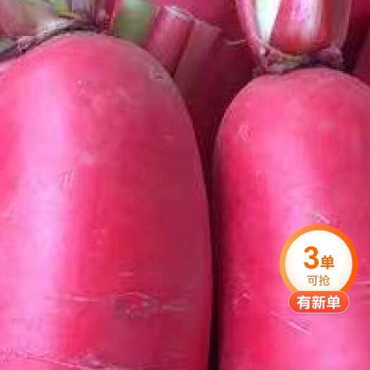 萧县红皮萝卜