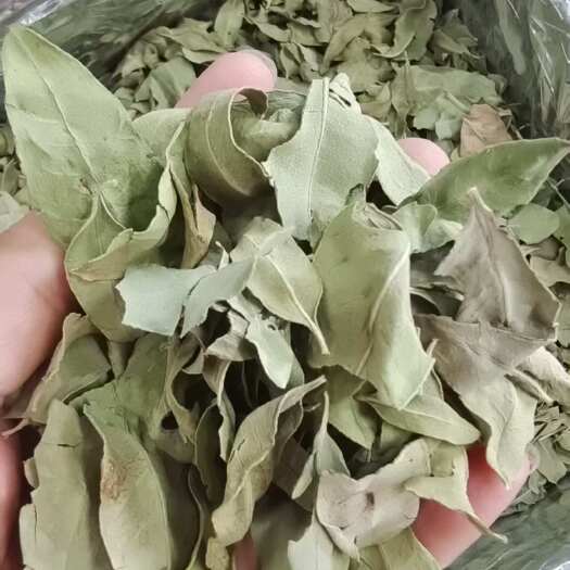 罗布麻叶 新疆干货 泡茶 2斤包邮