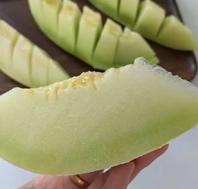 皋兰县老鹳村沙地白兰瓜，银蒂，蜜源