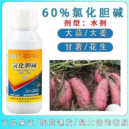 植物生长调节剂  氯化胆碱 大葱大姜大蒜洋葱促使块根块茎膨大