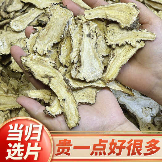 佛山【当归选片】无硫当归头片500克袋装中药材岷当归头片包邮