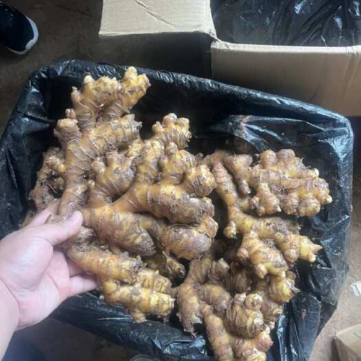 镇宁县二黄姜