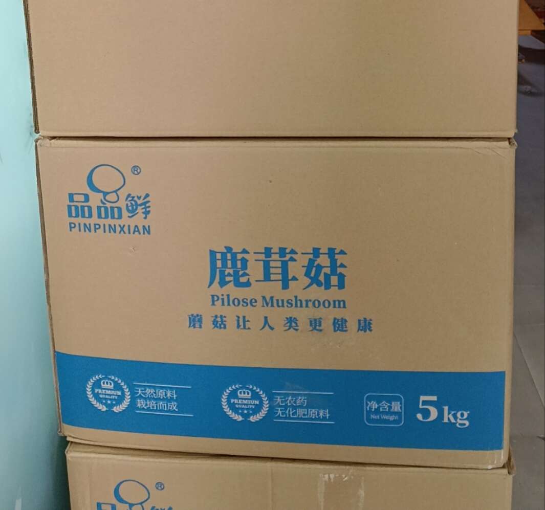 鹿茸菇