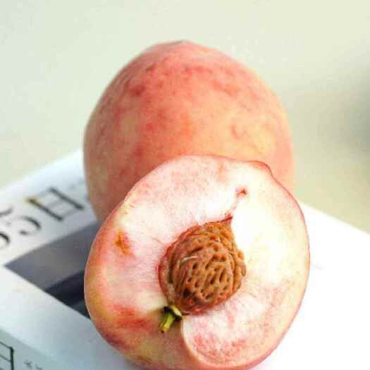 【产地精选】龙泉驿脆桃 | 高品质，好风味