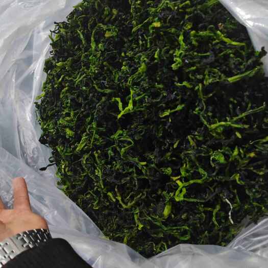 邳州市脱水油菜心，万年青，整颗万年青