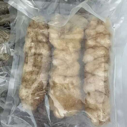 怀集县广东肇庆怀集海参干 农副水产加工优质干货