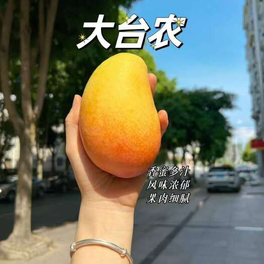 田东县百色台农芒果一件也是批发价