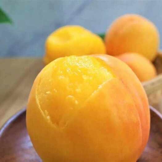 锦绣甜黄桃