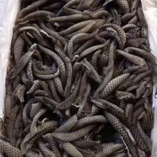 重庆市水发鱼皮（水发货有1-2两重量出入，介意的慎拍）