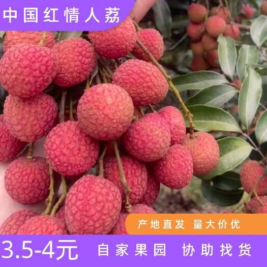 情人荔 中国红荔枝 自家果园 冷冻易储存