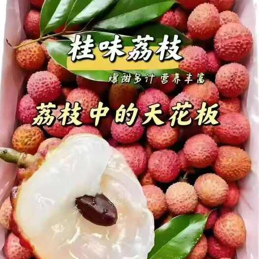 荔枝一件代发，高州源头产地直供，详细谈