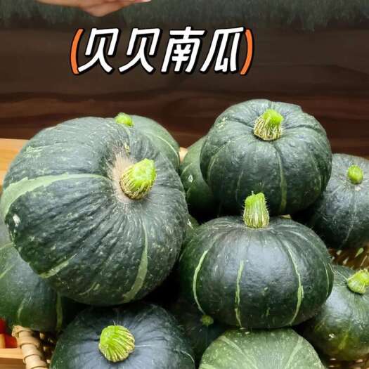 大同出口精品贝贝瓜