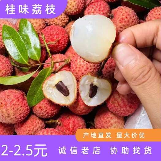 桂平市桂味荔枝 桂平勒荔 小壳荔枝 自家果园大丰收￼