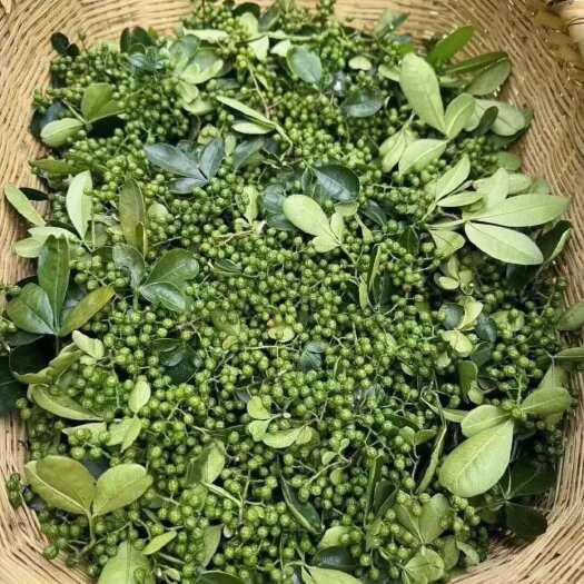 正宗云南昭通青花椒…