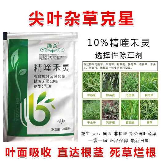 郑州精喹禾灵花生大豆田除草剂马唐芦苇狗尾草稗草尖叶杂草除草剂正品