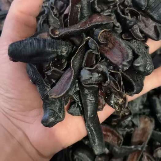 沭阳县水蛭干