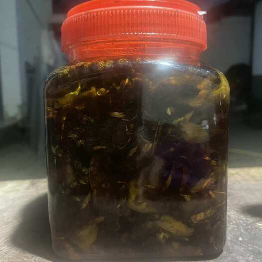 景谷县鸡枞，油鸡枞菌子，云南高海拔云雾高山，
