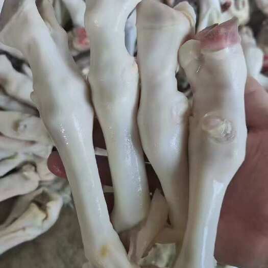 河间市羊蹄 一斤 4-5 个白羊蹄，地摊羊蹄食材，欢迎老板进店咨询