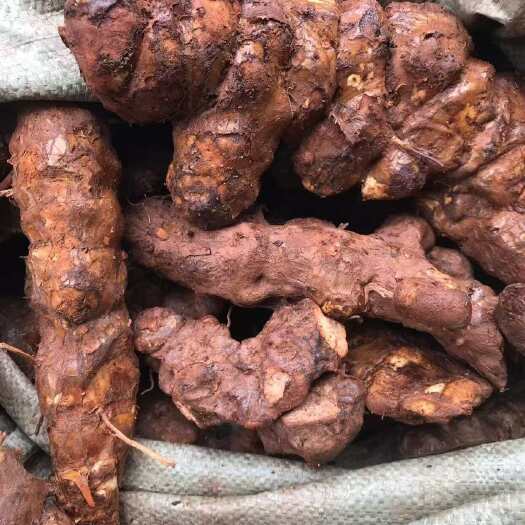 土茯苓肉质白心