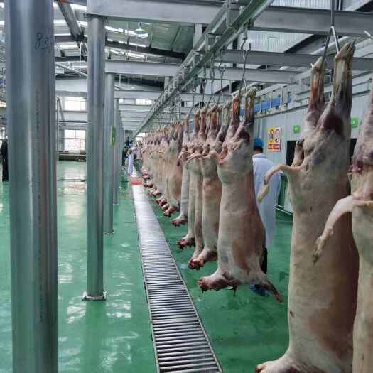 大通县黄牛肉4分体