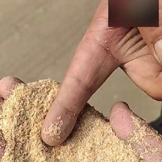 杭州浙江统糠、筛糠