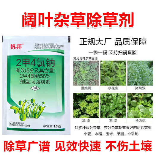 郑州二甲四氯除草剂56%2甲4氯钠水花生灰灰菜猪怏怏阔叶草除草剂