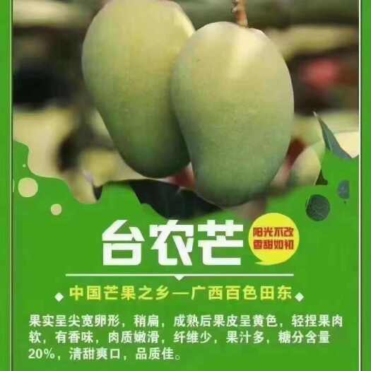 田东县百色芒果之乡