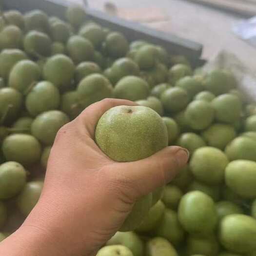 乐陵市青皮核桃