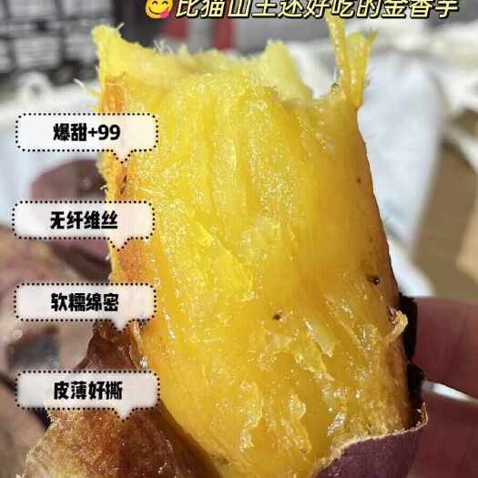 温岭市【金香芋】金香芋（薯）软糯甜 细腻无丝